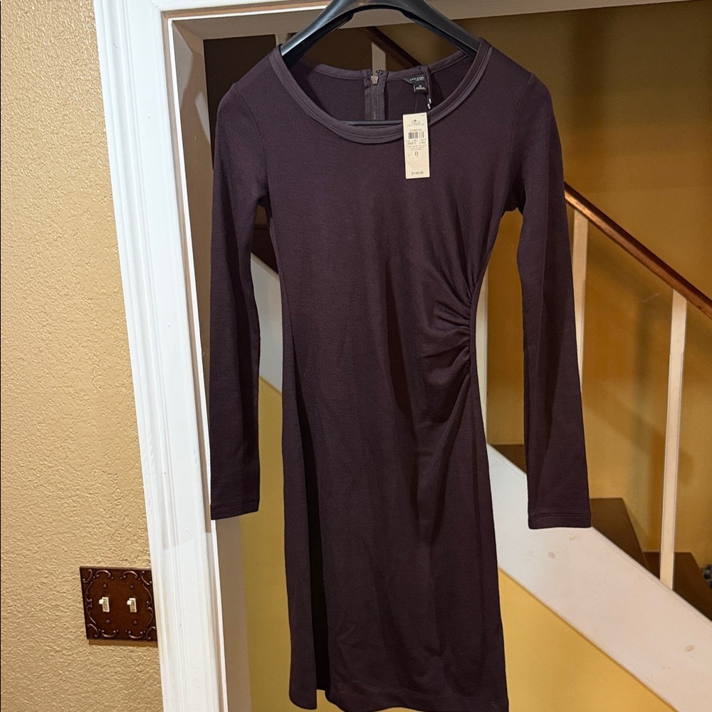 Ann Taylor Long Sleeve Dress in Deep Brown